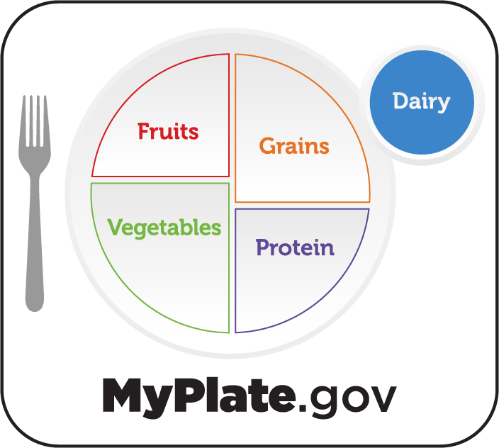 An illustration of a plate with the recommended portions of foods and a circle on the side of the plate representing a glass in a blue color with the word dairy on it.