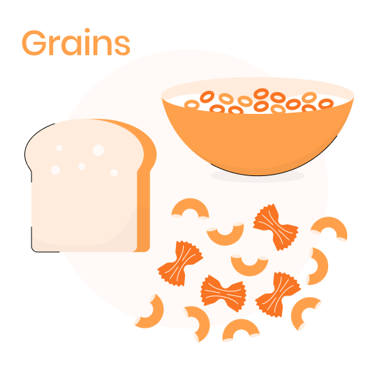 Illustration of a bowl of grain cereal, a slice of bread, and different shaped pasta.