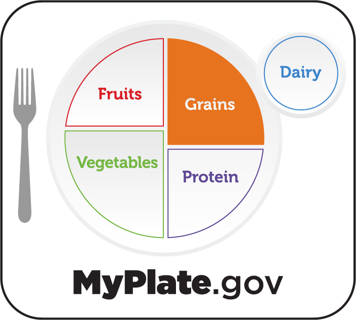 Illustration of a plate with correct portions of food with the grains section highlighted in an orange color.