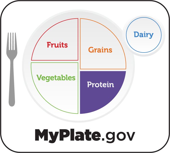 MyPlate Food Group plate depiction of one segment of the plate shaded in purple to say "Protein."