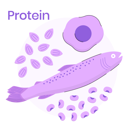 Illustration of different types of protein such as almonds, eggs, fish, and legumes.